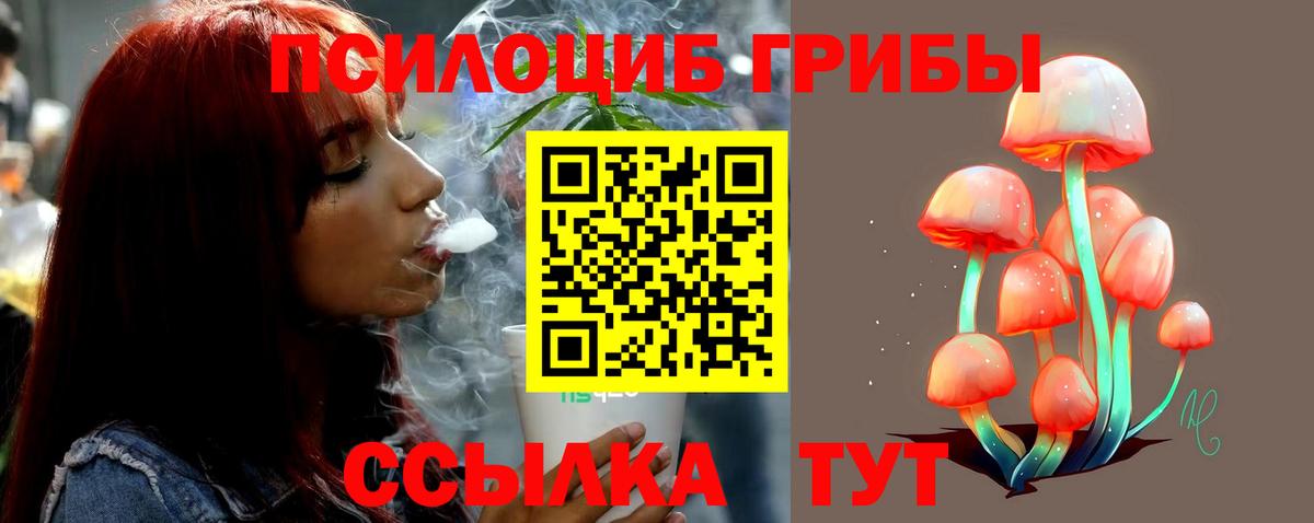 Дюртюли  Галлюциногенные грибы Cubensis  Вход с VPN 